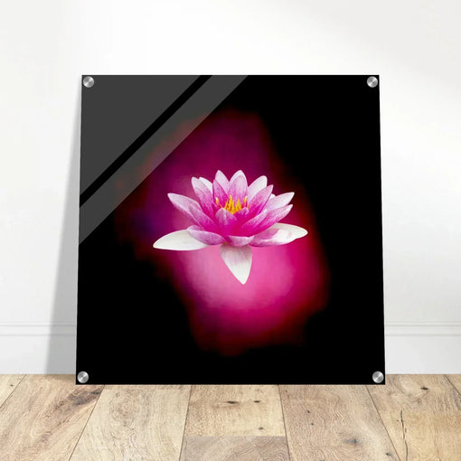 Licht orb met op de voorgrond een roze waterlelie