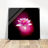 Licht orb met op de voorgrond een roze waterlelie