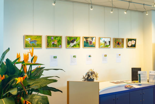 Expositie visions of nature bibliotheek someren