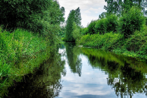 Natuurfoto met een prachtig beekje omgeven met groen