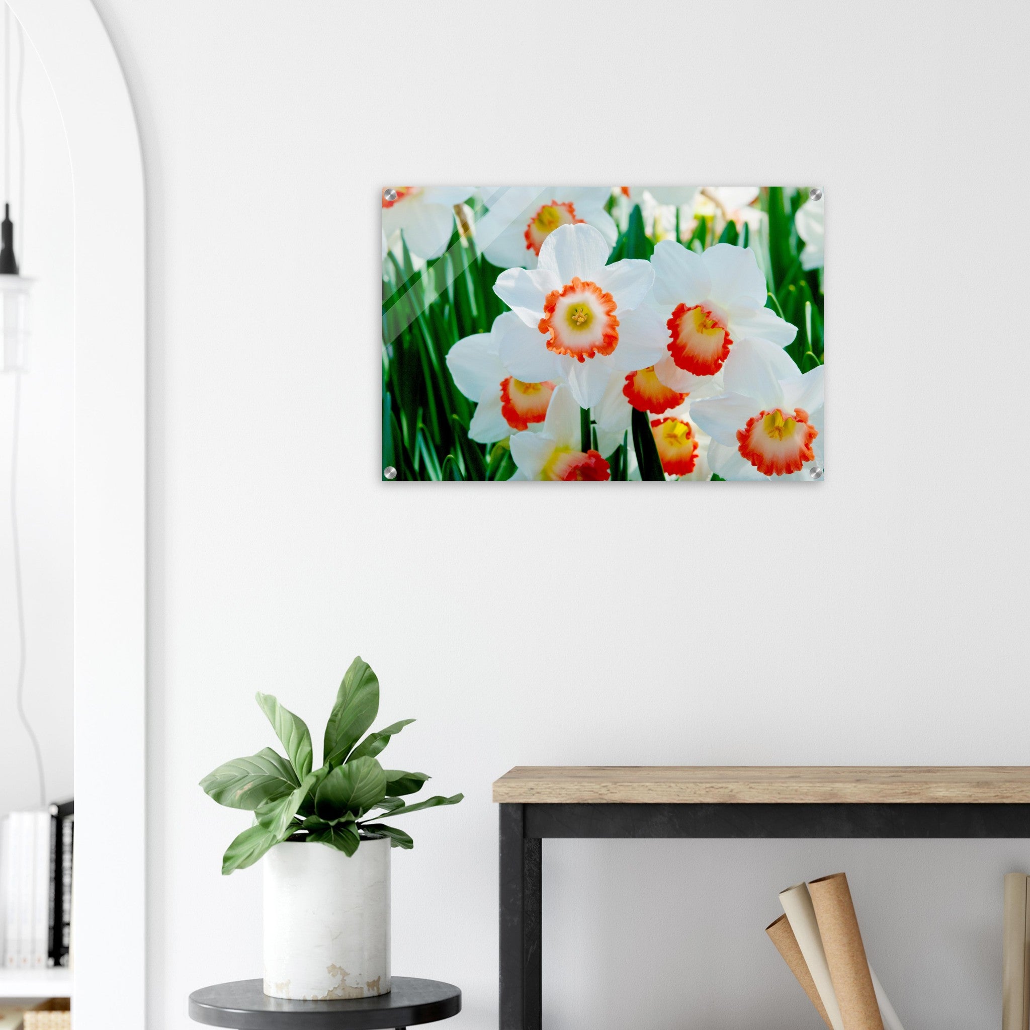 Acrylglas wanddecoratie met witte narcissen met oranje accenten