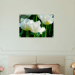 Acrylglas wanddecoratie met prachtige witte tulpen met franjes