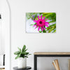 Acrylglas wanddecoratie met een prachtige roze echinacea bloem