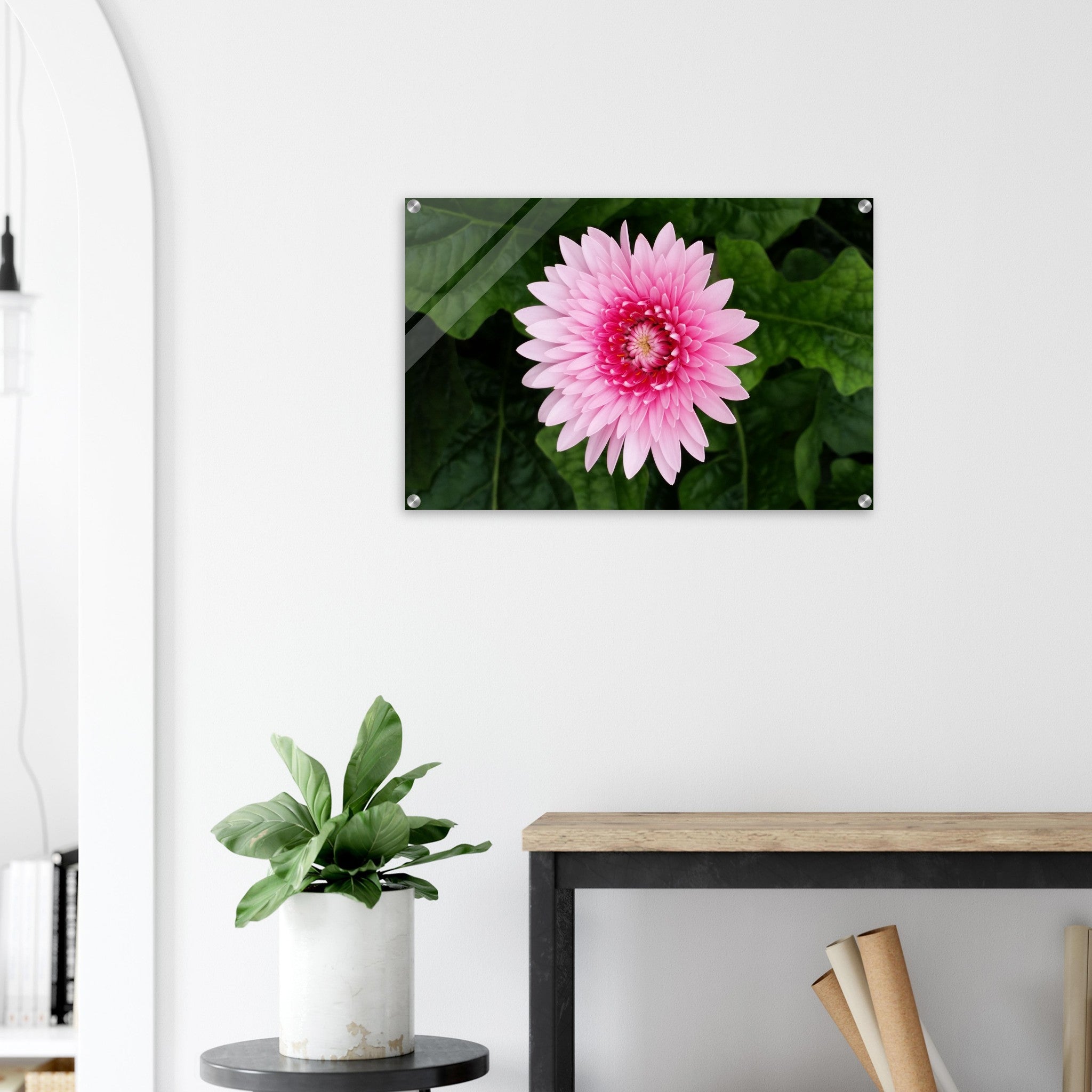 Acrylglas wanddecoratie met een prachtige roze gerbera tegen een groene achtergrond