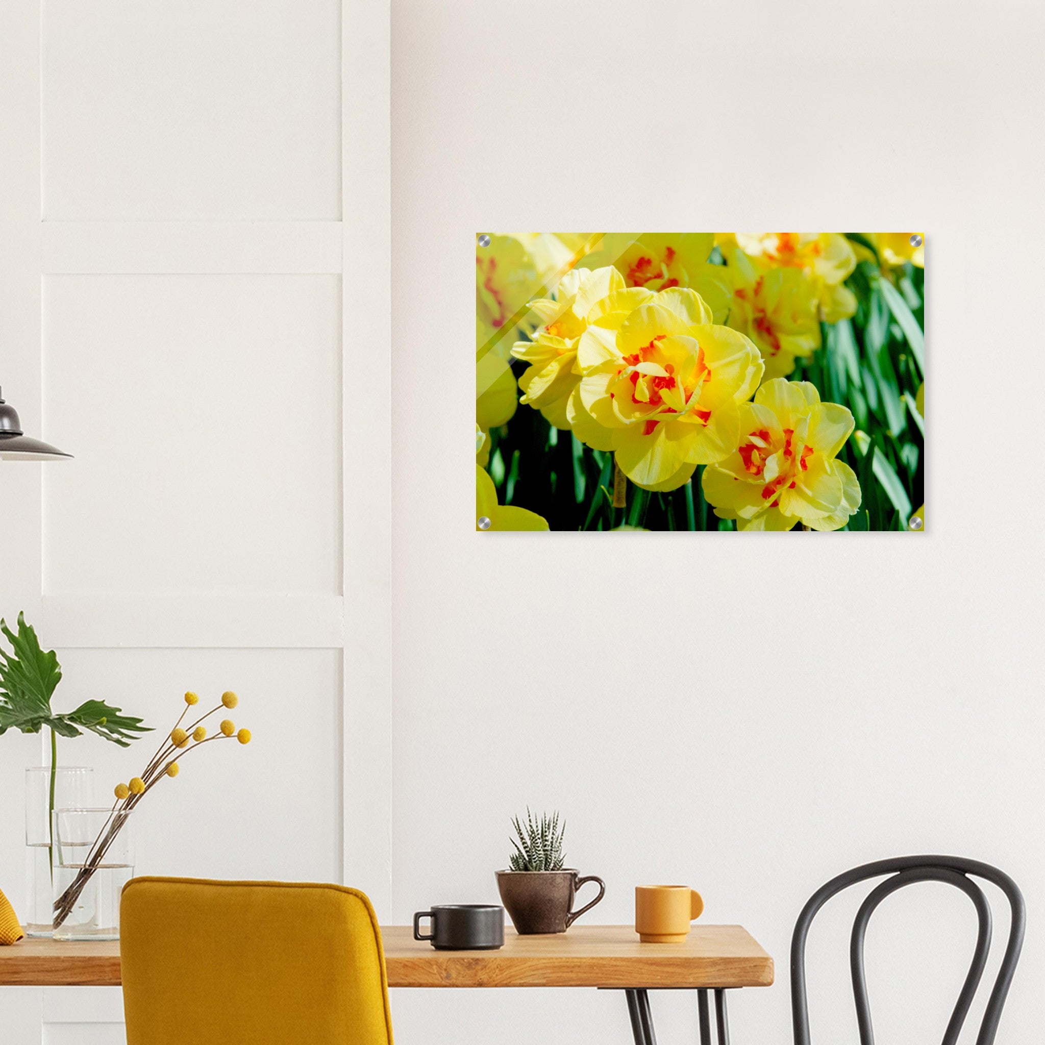 Acrylglas wanddecoratie met stralende gele narcissen met oranje accenten