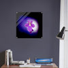 Acrylprint van een prachtige lichtbol met op de voorgrond een paarse bloem
