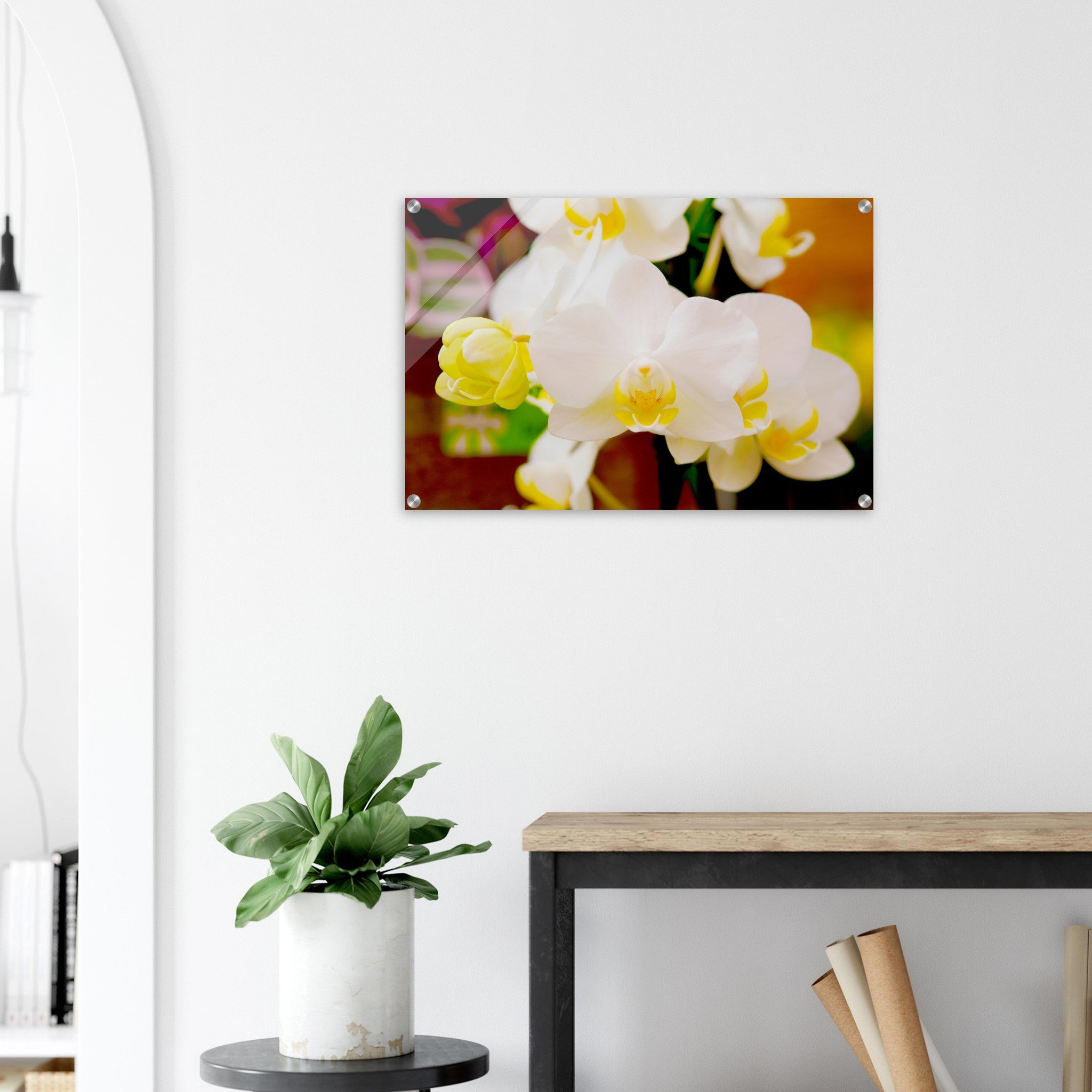 Acrylglas wanddecoratie met een prachtige witte orchidee 