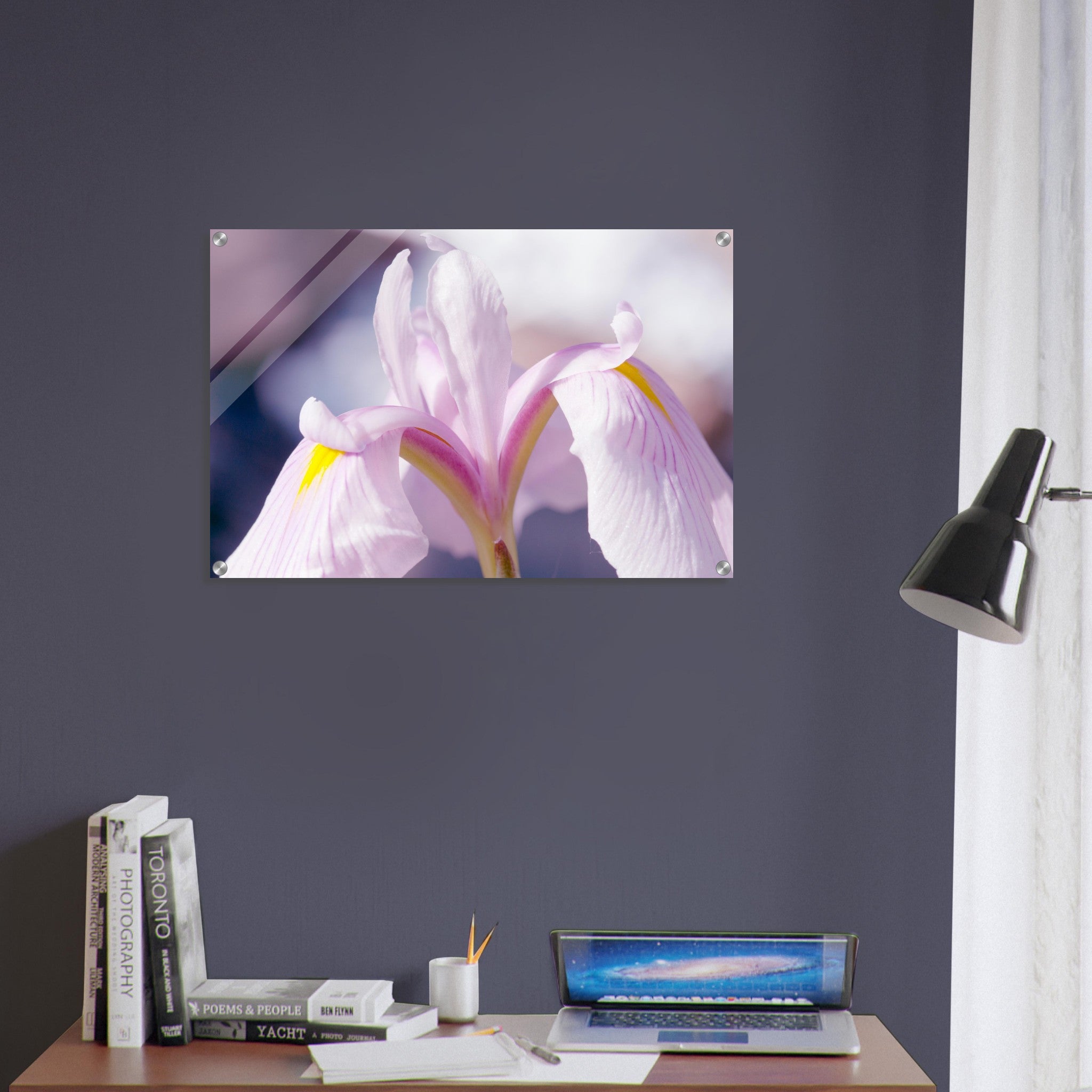 Acrylglas wanddecoratie met een adembenemende zachtroze iris