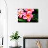 Acrylglas wanddecoratie met prachtige rode frangipani bloemen