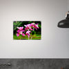 Acrylglas wanddecoratie met een weelderige roze orchidee