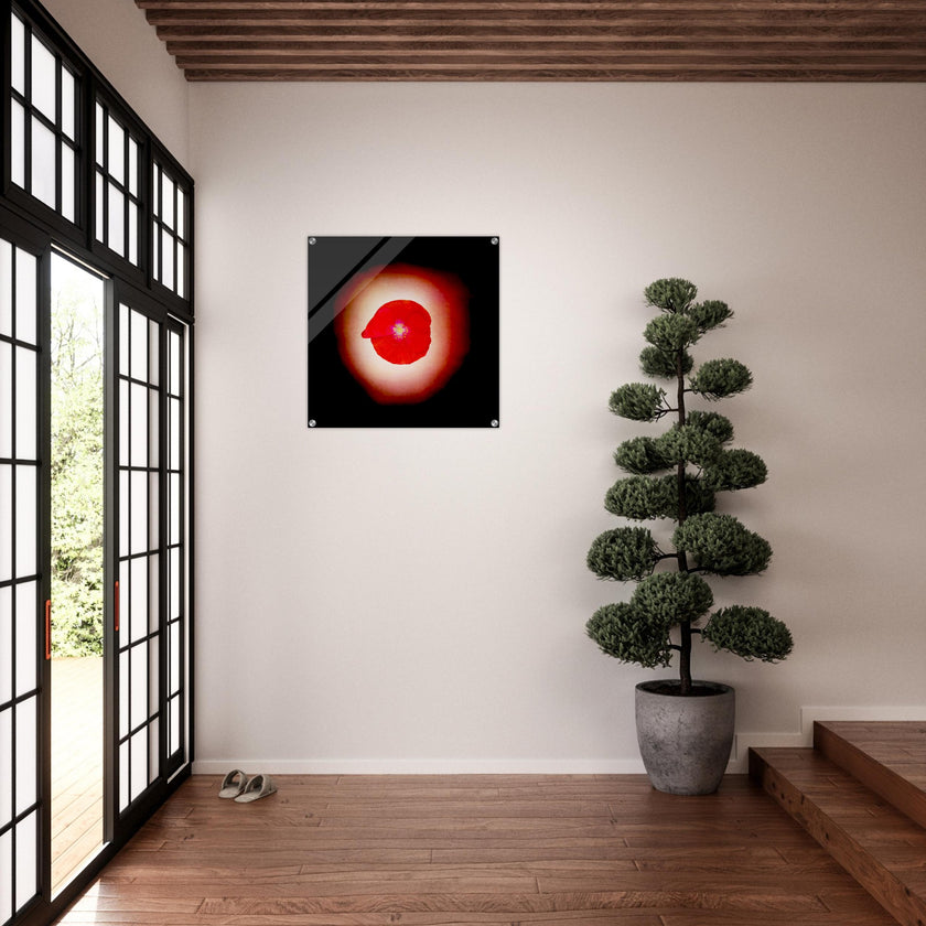Acrylprint van een prachtige rode lichtbol met op de voorgrond een klaproos
