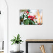 Acrylglas wanddecoratie met rode besjes (Skimmia reevesiana) bedekt met sneeuw