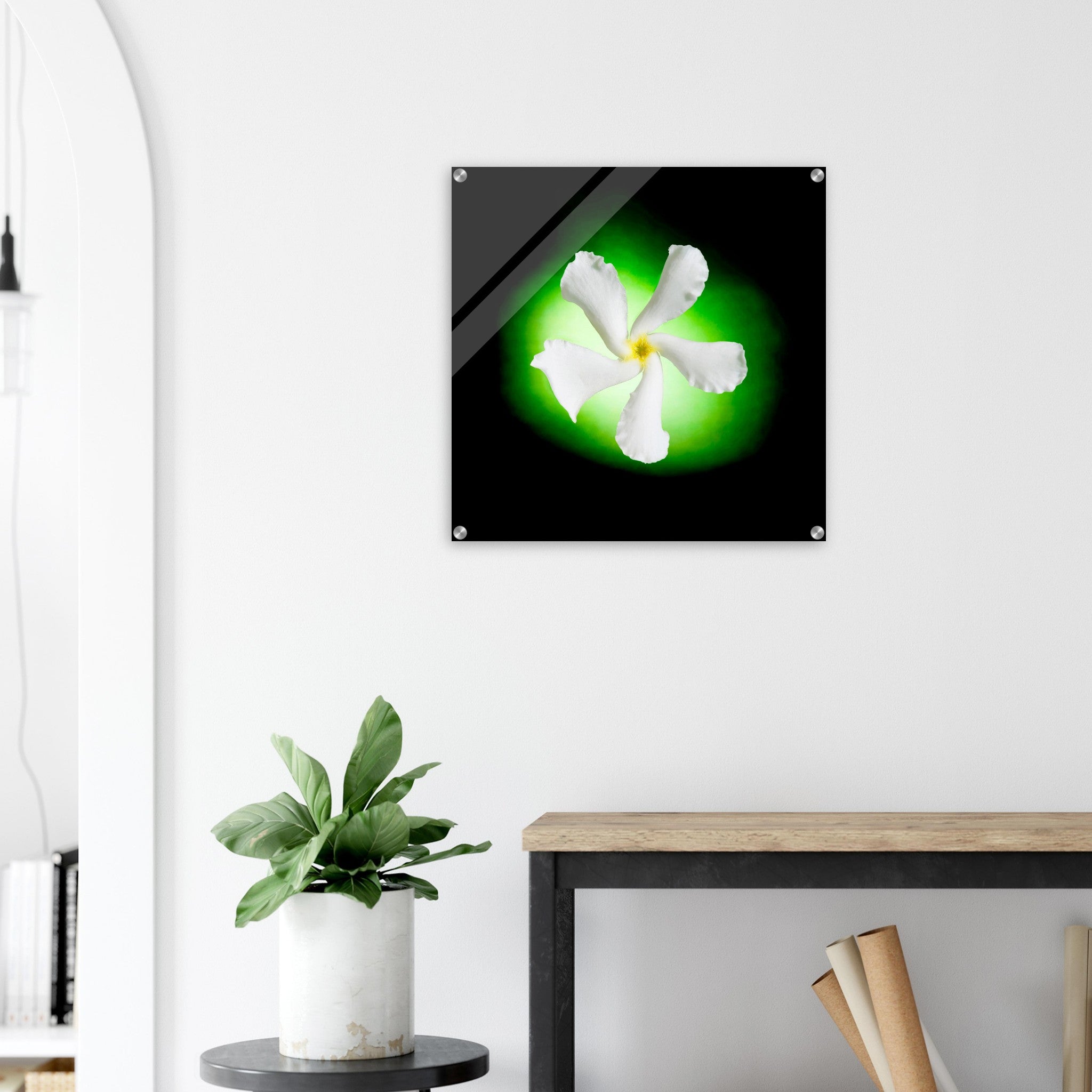 Acrylprint van een authentieke groene orb met op de voorgrond een witte jasmijn bloem