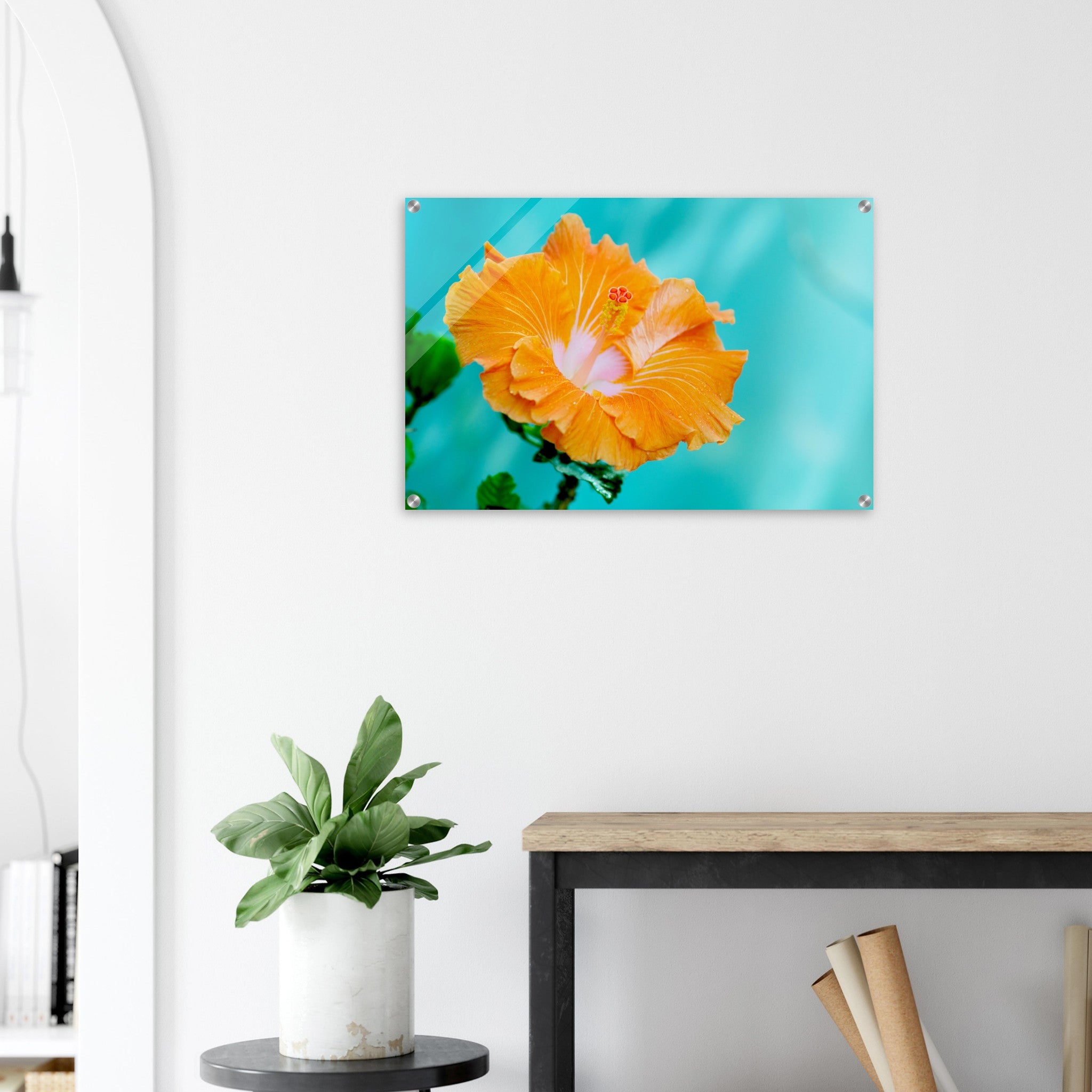 Acrylglas wanddecoratie met een weelderige oranje hibiscus tegen blauwe achtergrond