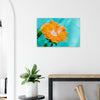 Acrylglas wanddecoratie met een weelderige oranje hibiscus tegen blauwe achtergrond