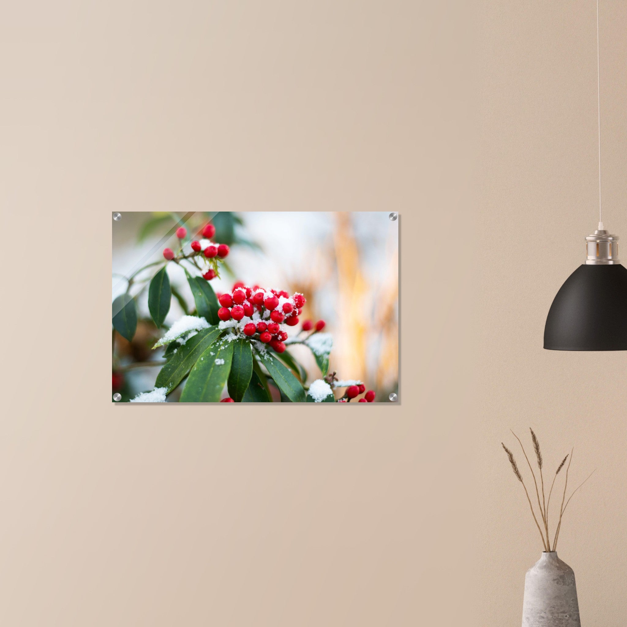 Acrylglas wanddecoratie met rode besjes (Skimmia reevesiana) bedekt met sneeuw