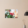 Acrylglas wanddecoratie met rode besjes (Skimmia reevesiana) bedekt met sneeuw