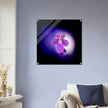 Acrylprint van een prachtige lichtbol met op de voorgrond een paarse bloem