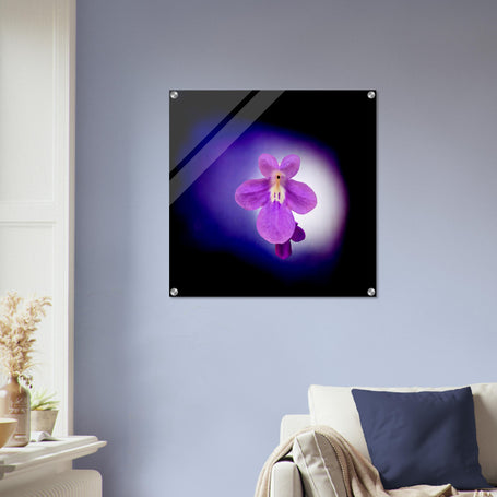 Acrylprint van een prachtige lichtbol met op de voorgrond een paarse bloem