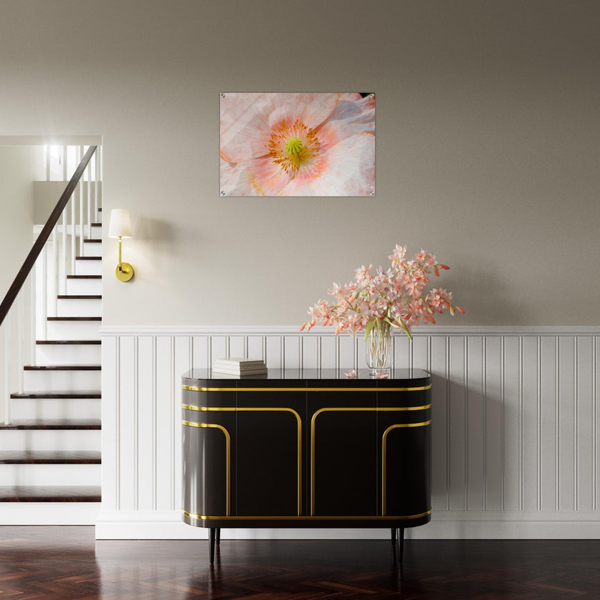 Acrylglas wanddecoratie met een betoverende zalmkleurige klaproos
