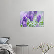 Acrylglas wanddecoratie met prachtige paarse lavendel in volle bloei