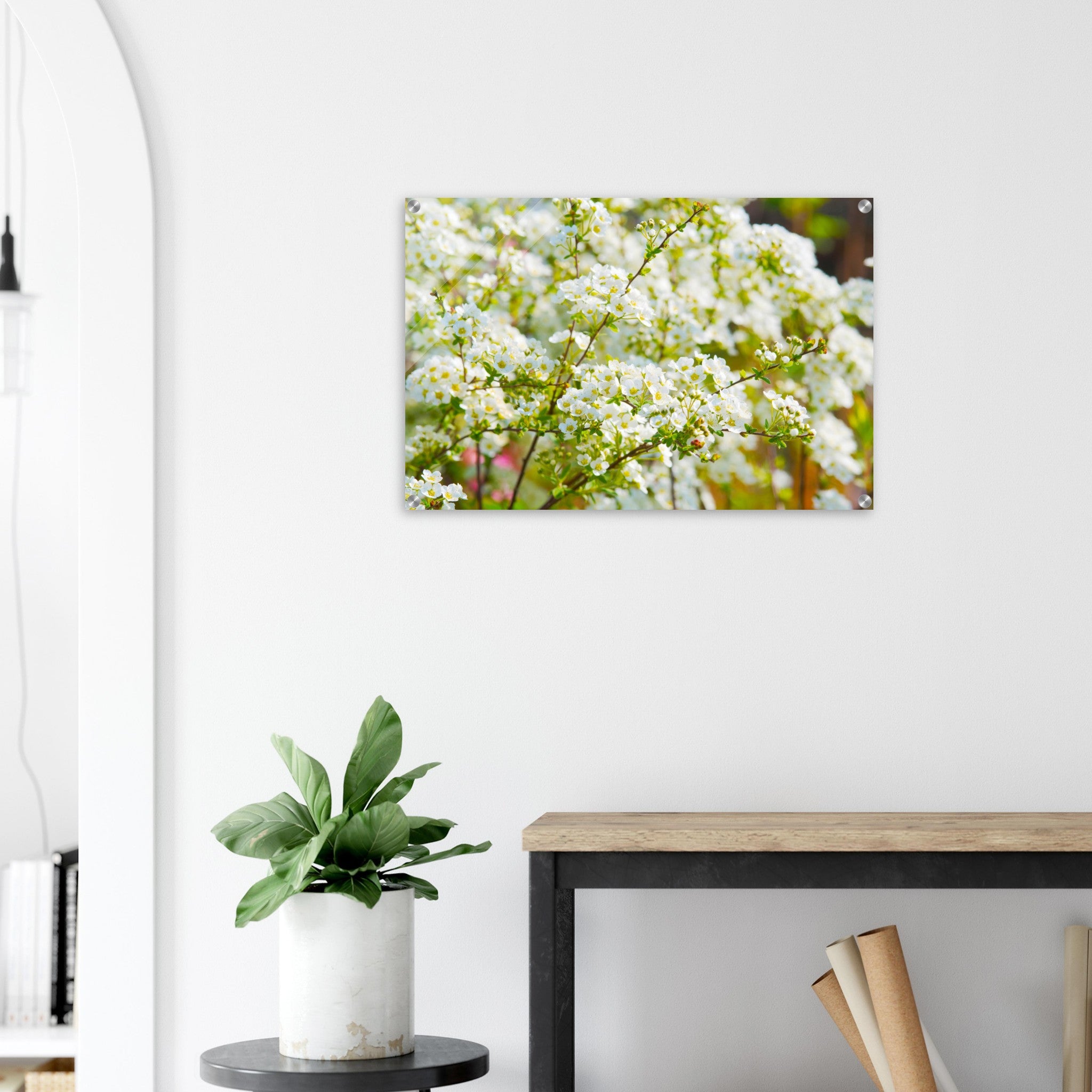 Acrylglas wanddecoratie met prachtige witte spirea lentebloesems 