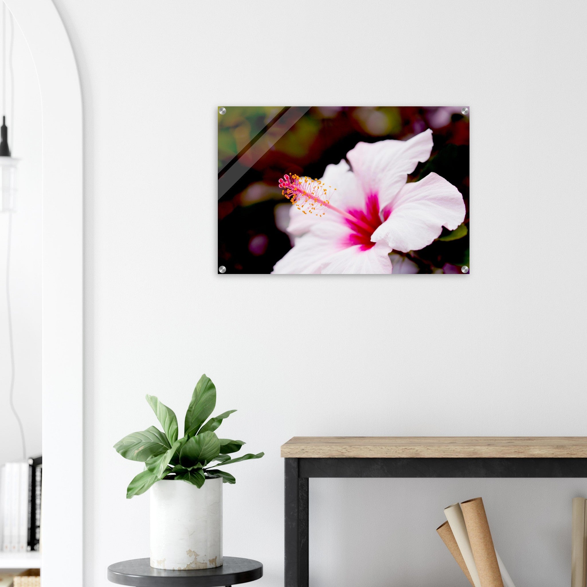 Acrylglas wanddecoratie met een stralende hibiscus tegen donkere achtergrond