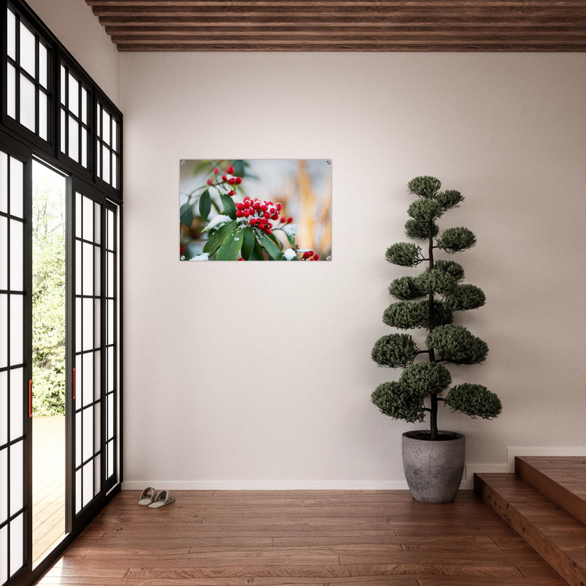 Acrylglas wanddecoratie met rode besjes (Skimmia reevesiana) bedekt met sneeuw