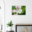Acrylglas wanddecoratie met de prachtige zachtroze bloemen van de hondsroos