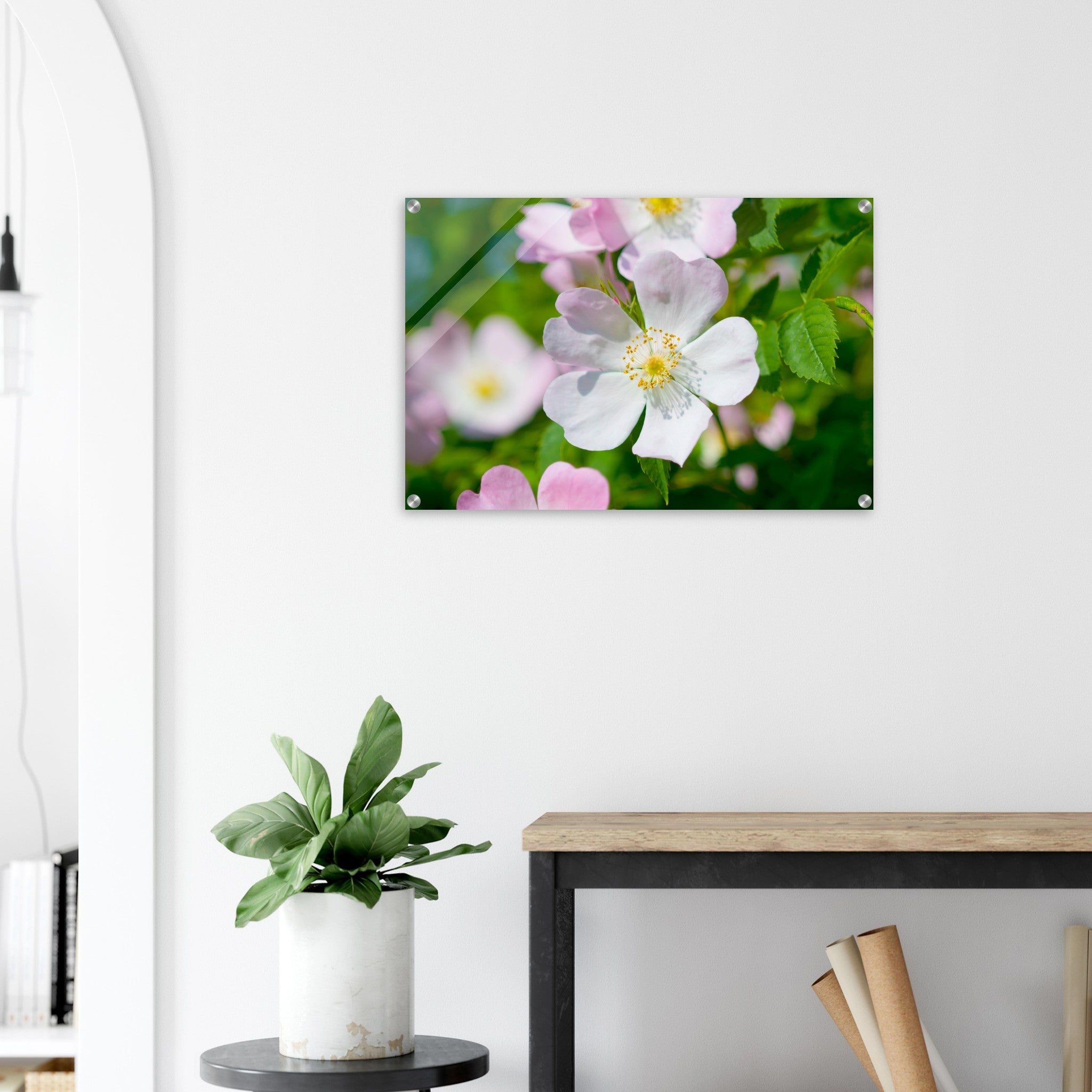 Acrylglas wanddecoratie met de prachtige zachtroze bloemen van de hondsroos