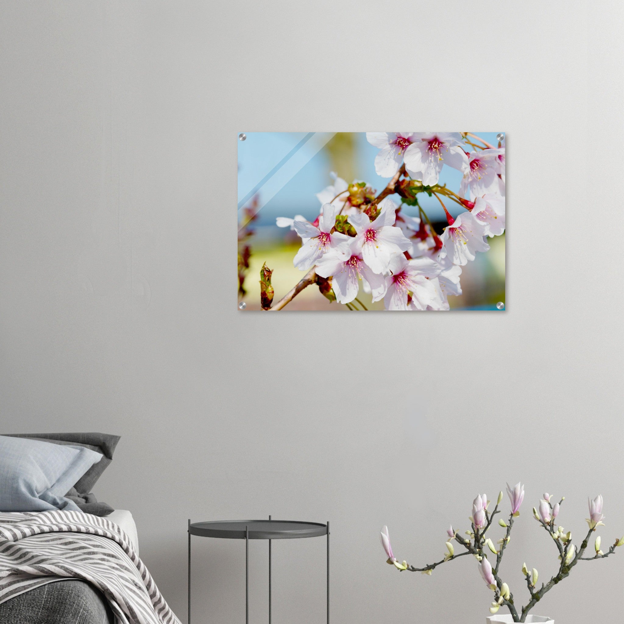 Acrylglas wanddecoratie met schitterende Japanse kersenbloesems