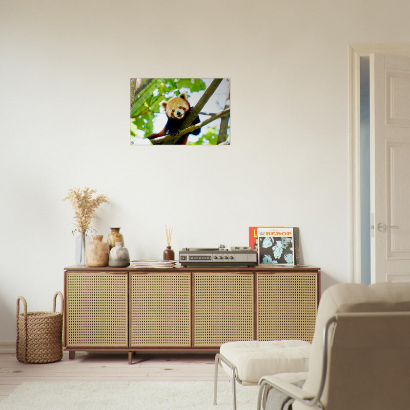 Acrylglas wanddecoratie van een rode panda tussen de groene bladeren