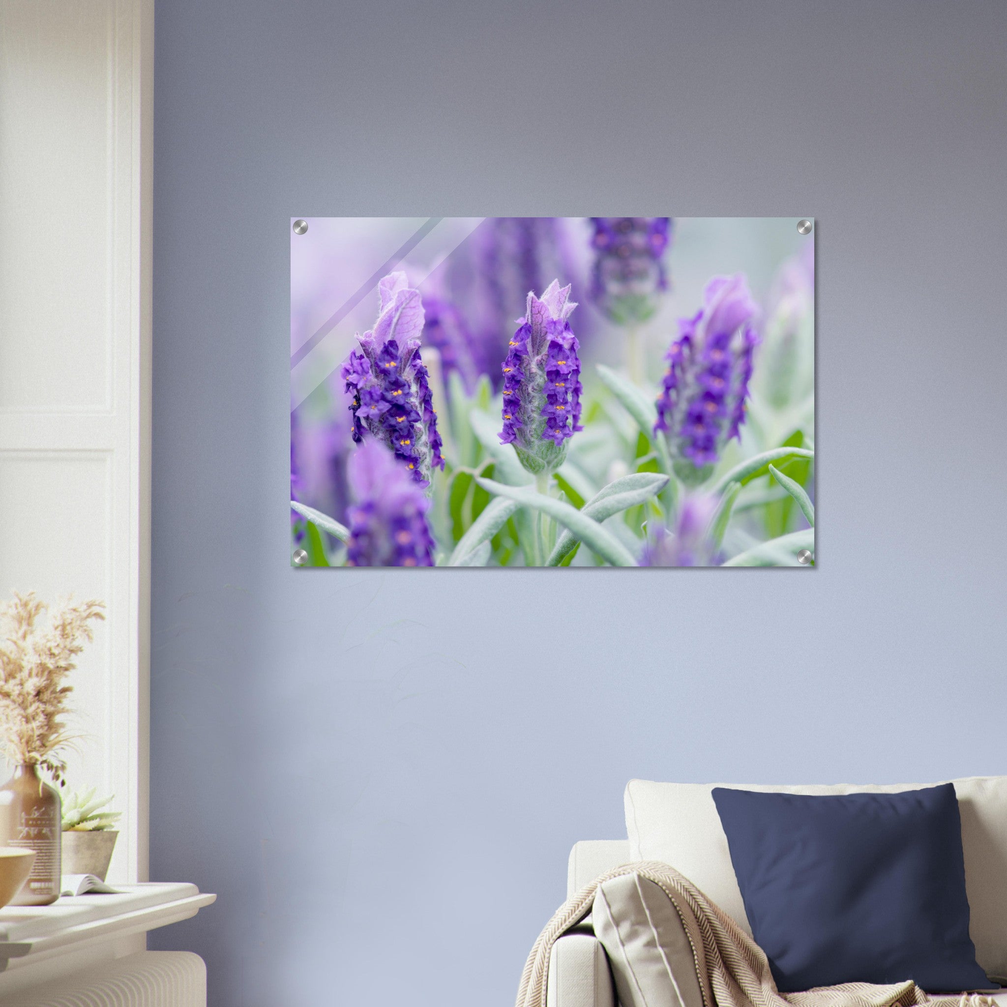 Acrylglas wanddecoratie met prachtige paarse lavendel in volle bloei