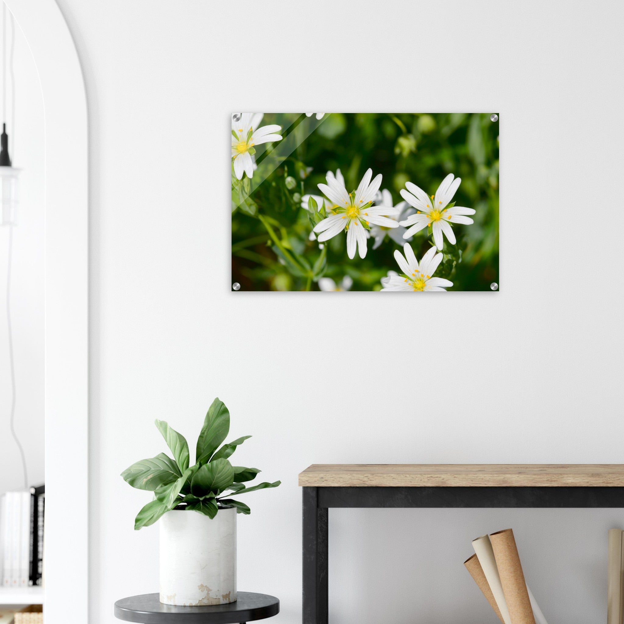 Acrylglas wanddecoratie met de bloemetjes van de 'grote muur' in de lente