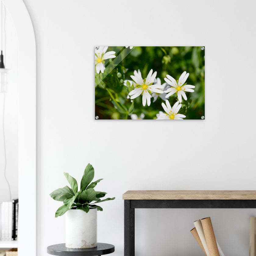 Acrylglas wanddecoratie met de bloemetjes van de 'grote muur' in de lente