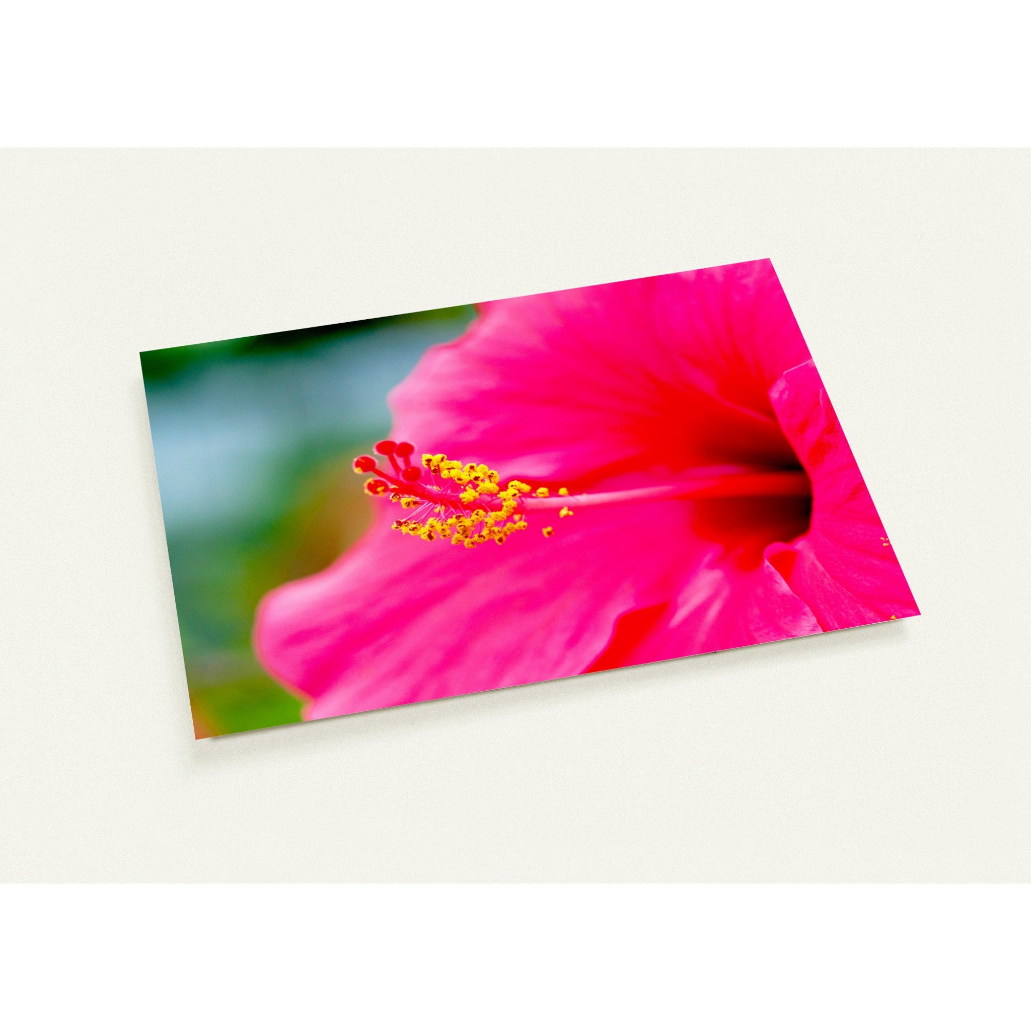 Wenskaart met een close-up van een prachtige magentakleurige hibiscus bloem