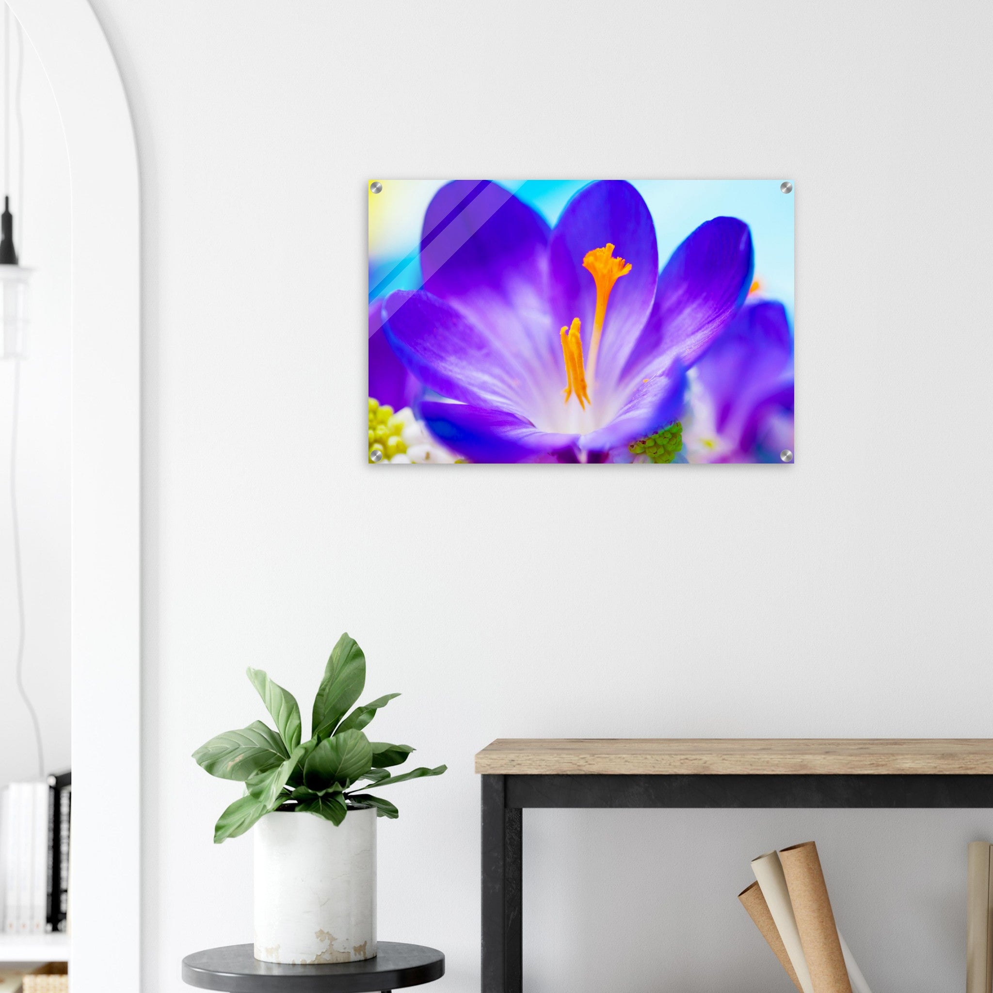 Acrylglas wanddecoratie met een prachtige paarse krokus bloem