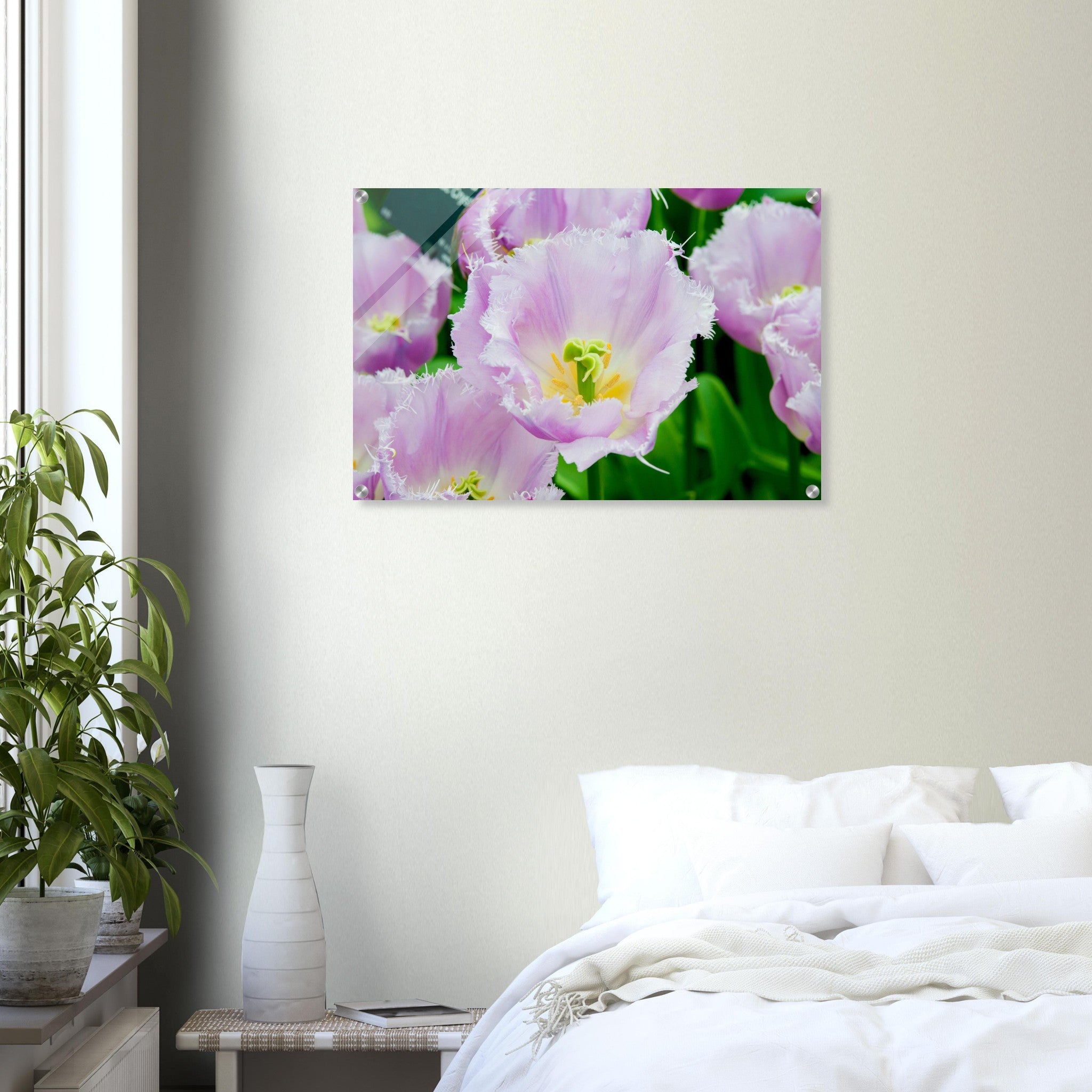 Acrylglas wanddecoratie met prachtige tulpen in lila met witte tinten