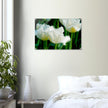 Acrylglas wanddecoratie met prachtige witte tulpen met franjes