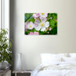 Acrylglas wanddecoratie met de prachtige zachtroze bloemen van de hondsroos