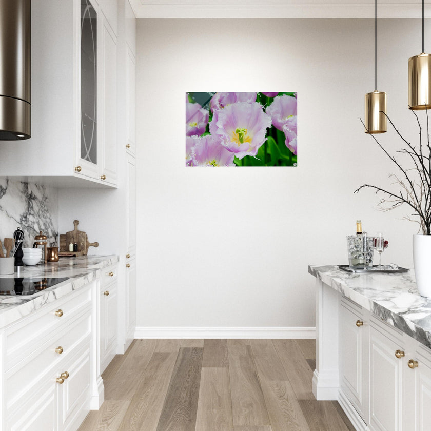 Acrylglas wanddecoratie met prachtige tulpen in lila met witte tinten