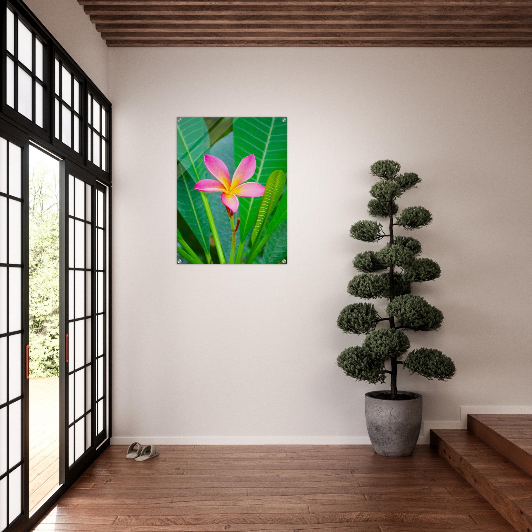 Acrylglas wanddecoratie met een prachtige roze frangipani bloem 