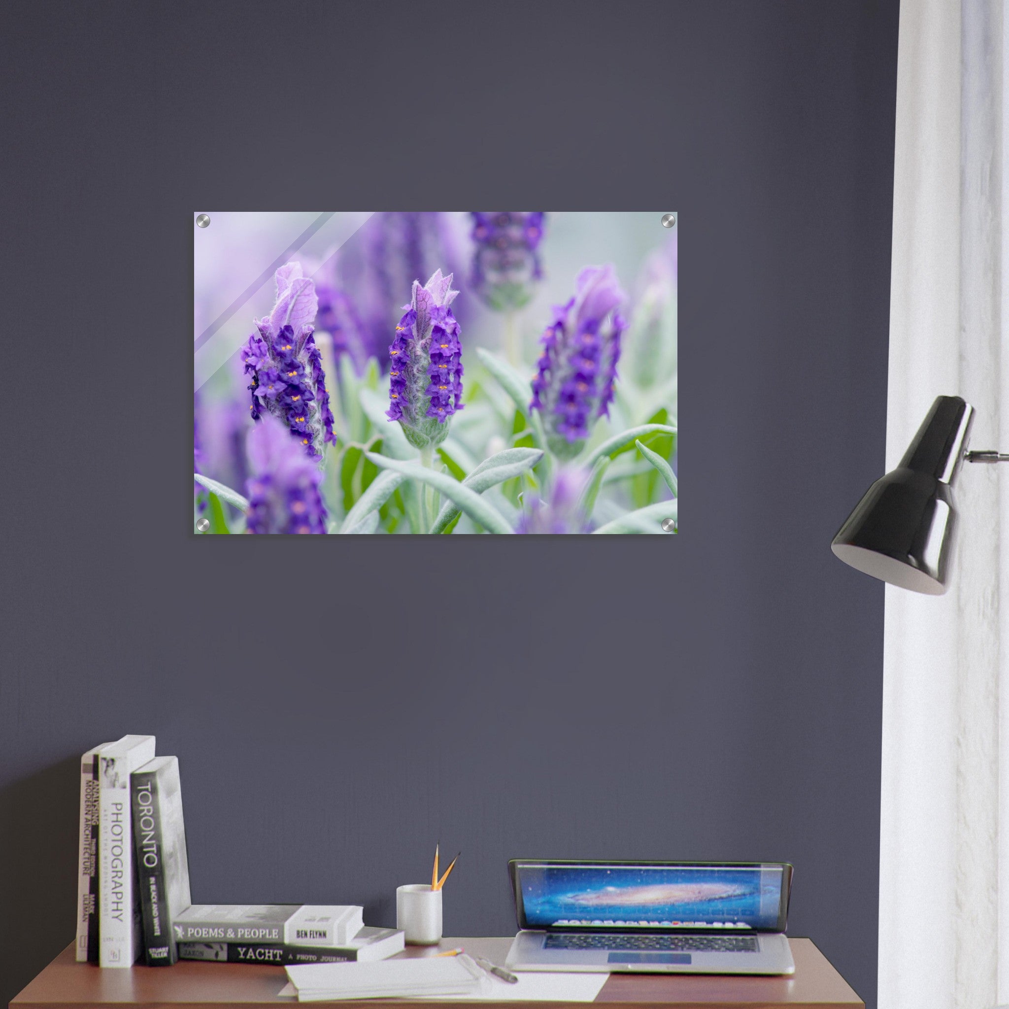 Acrylglas wanddecoratie met prachtige paarse lavendel in volle bloei