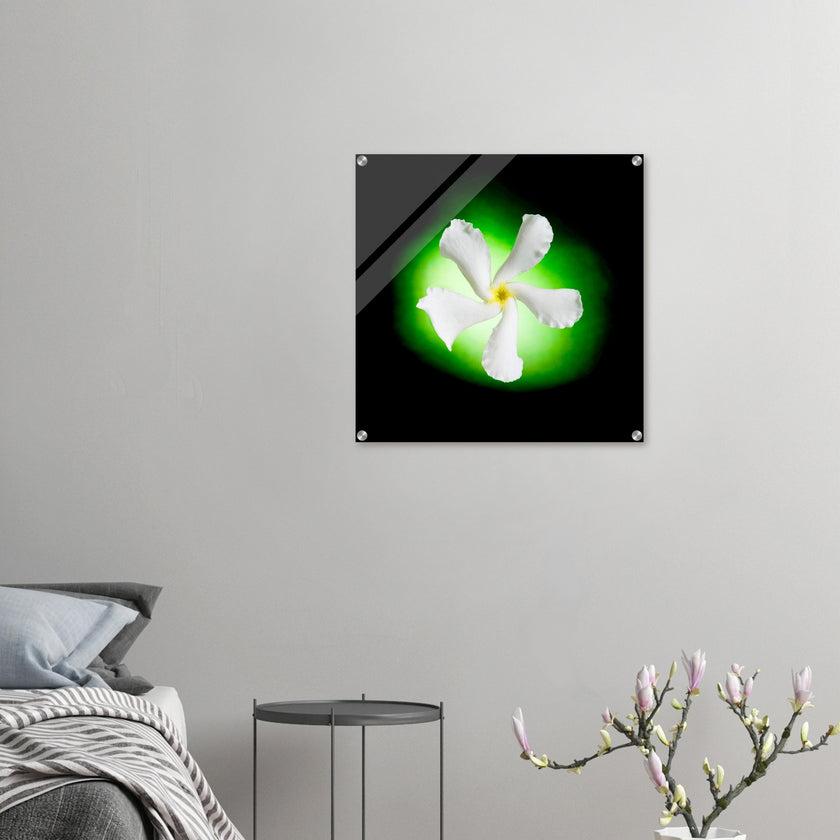 Acrylprint van een authentieke groene orb met op de voorgrond een witte jasmijn bloem