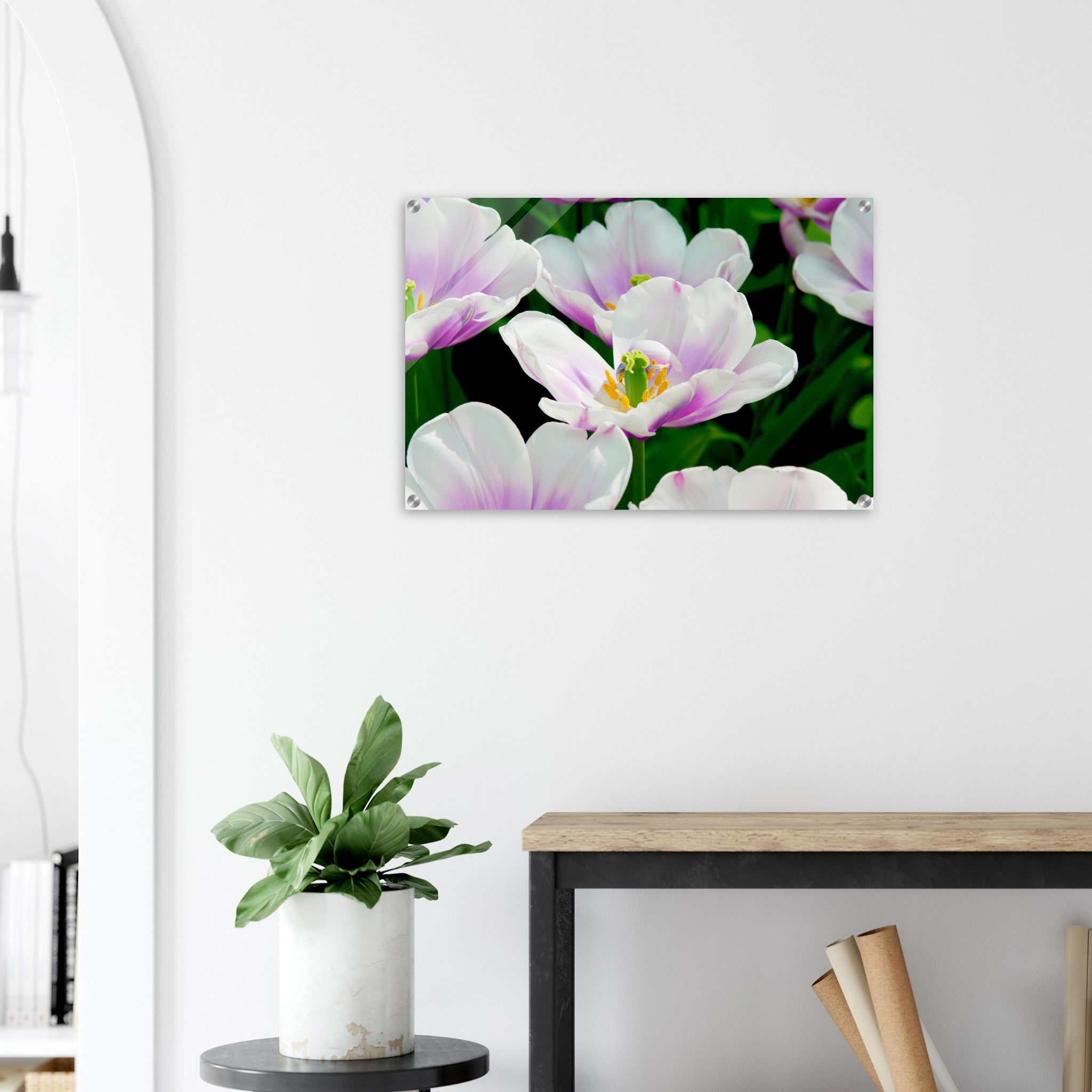 Acrylglas wanddecoratie met schitterende tulpen in lila met wit