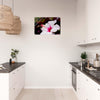 Acrylglas wanddecoratie met een stralende hibiscus tegen donkere achtergrond