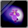 Acrylprint van een prachtige lichtbol met op de voorgrond een paarse bloem