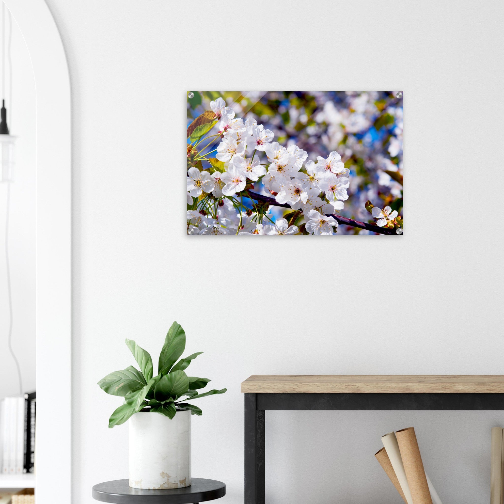 Acrylglas wanddecoratie met prachtige witte Sakura bloesems 