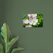 Acrylglas wanddecoratie met de prachtige zachtroze bloemen van de hondsroos