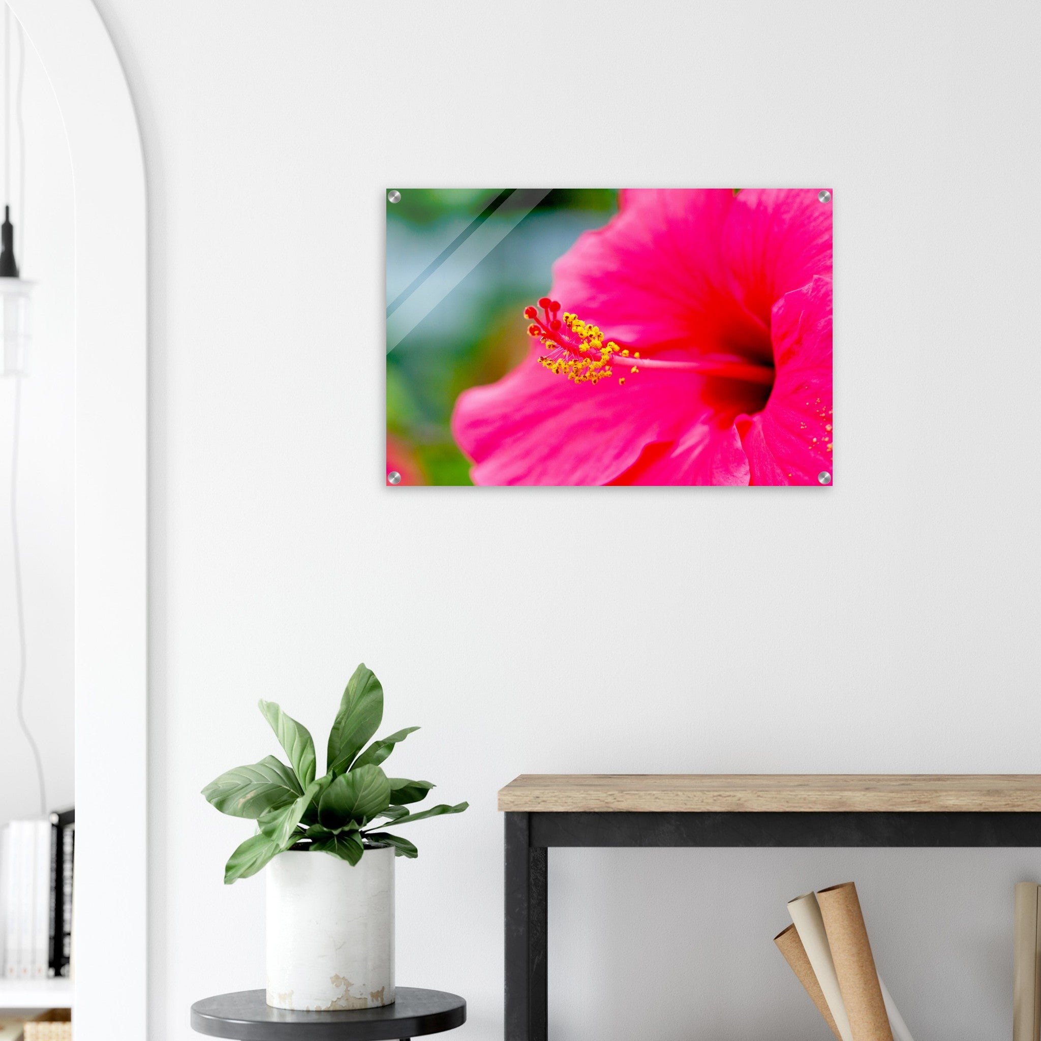 Acrylglas wanddecoratie met een prachtige magentarode hibiscus 